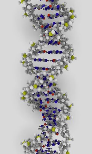 DNA-molecule3.jpg